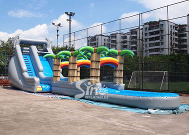 71' long kids tropical commercial inflatable water slide with big pool N 2 dolphins for outdoor use