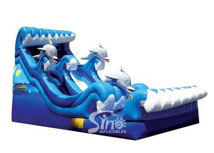 dolphin inflatable water slide