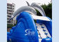 5m high cute dolphin kids inflatable water slide with pool meeting with EN14960 from China inflatable factory