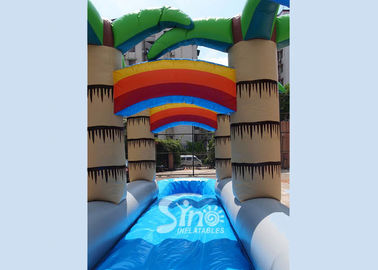 71' long kids tropical commercial inflatable water slide with big pool N 2 dolphins for outdoor use