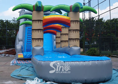 71' long kids tropical commercial inflatable water slide with big pool N 2 dolphins for outdoor use