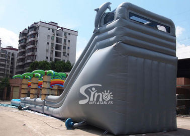 71' long kids tropical commercial inflatable water slide with big pool N 2 dolphins for outdoor use