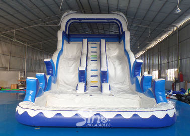 Double Lanes Inflatable dolphin Water Slides with pool EN14960 For Adults and kids