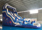 Double Lanes Inflatable dolphin Water Slides with pool EN14960 For Adults and kids