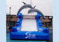 5m high commercial grade Inflatable Backyard Water Slide with Double Dolphinfor kids fun